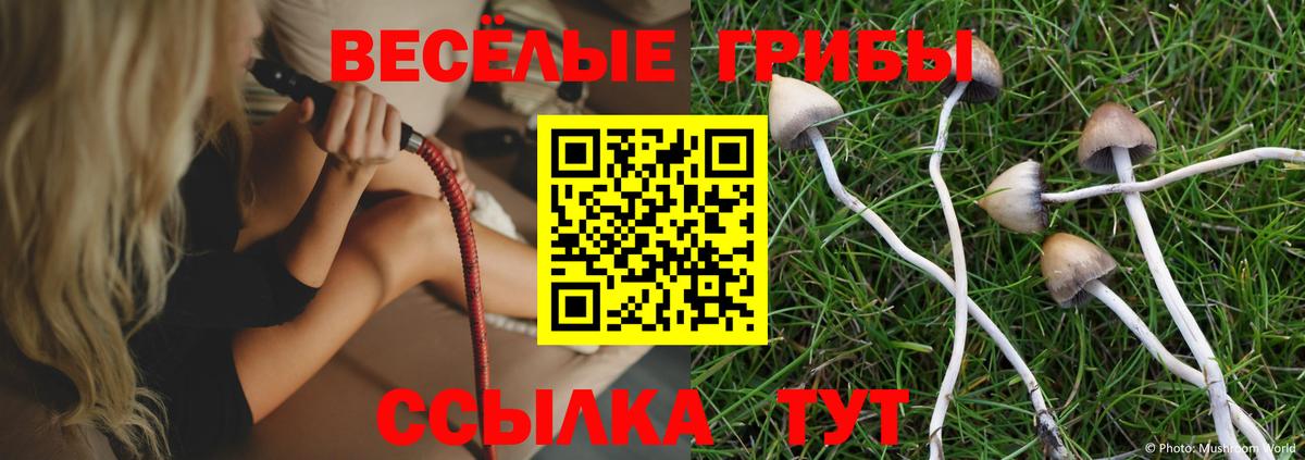 Галлюциногенные грибы мицелий Калининград